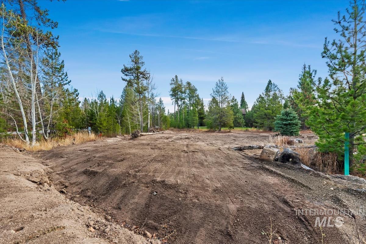 11 Pointe At Goldfork Court Donnelly, ID 83615 - Photo 7 of 21