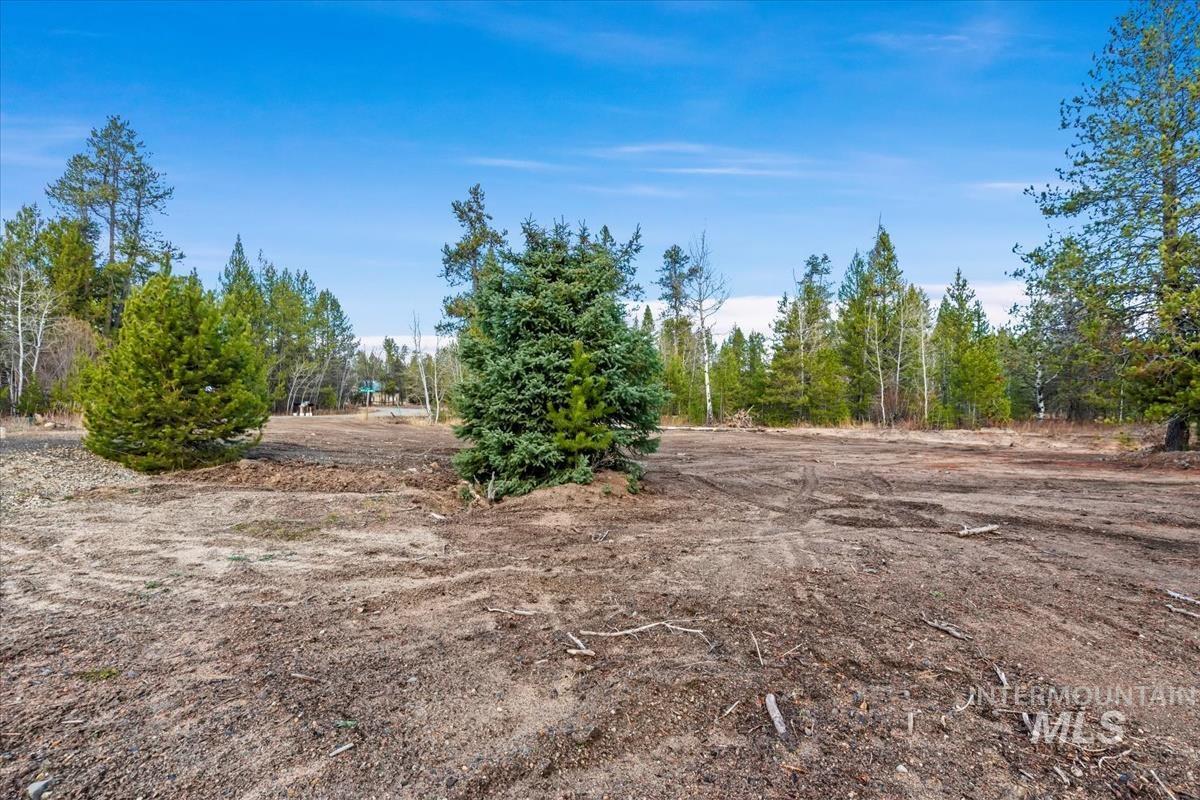 11 Pointe At Goldfork Court Donnelly, ID 83615 - Photo 8 of 21