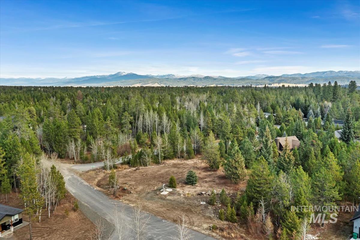 11 Pointe At Goldfork Court Donnelly, ID 83615 - Photo 9 of 21
