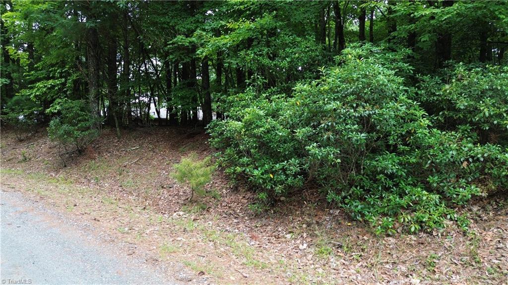 Tbd Eagle Nest Drive Deep Gap, NC 28618 - Photo 12 of 27