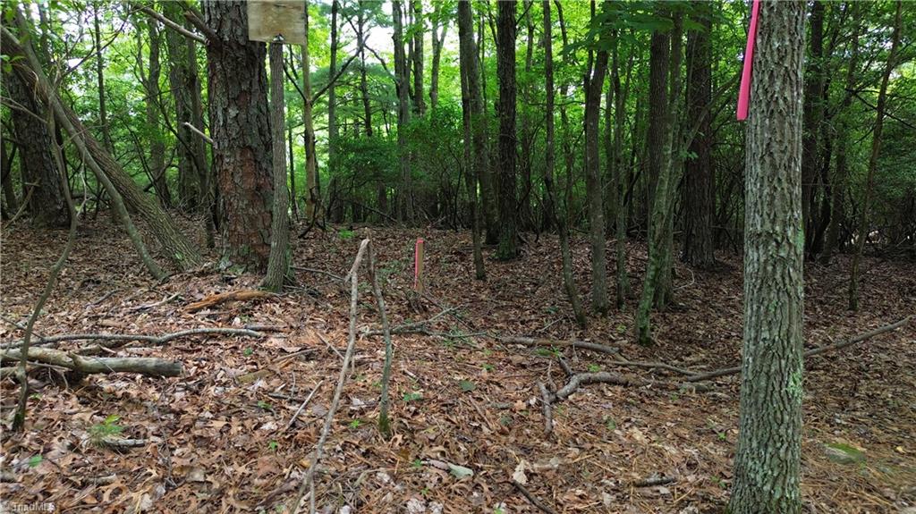 Tbd Eagle Nest Drive Deep Gap, NC 28618 - Photo 14 of 27