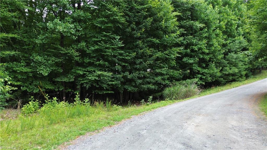 Tbd Eagle Nest Drive Deep Gap, NC 28618 - Photo 16 of 27