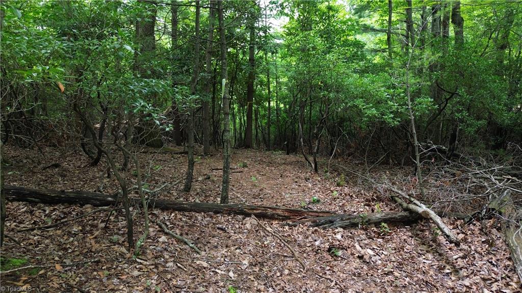 Tbd Eagle Nest Drive Deep Gap, NC 28618 - Photo 18 of 27