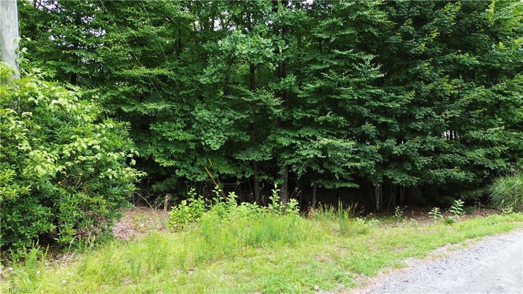 Tbd Eagle Nest Drive Deep Gap, NC 28618 - Photo 19 of 27