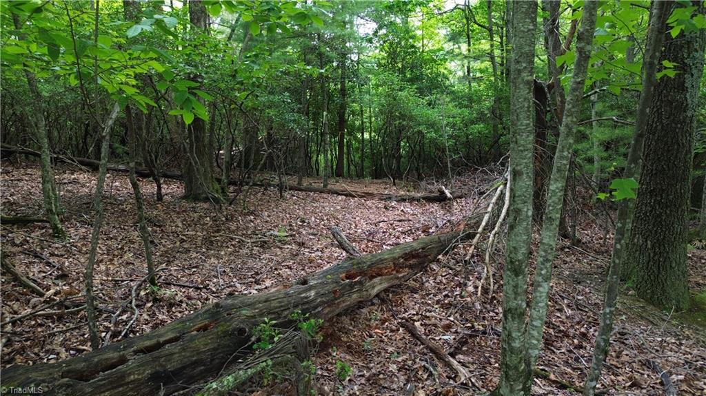 Tbd Eagle Nest Drive Deep Gap, NC 28618 - Photo 20 of 27