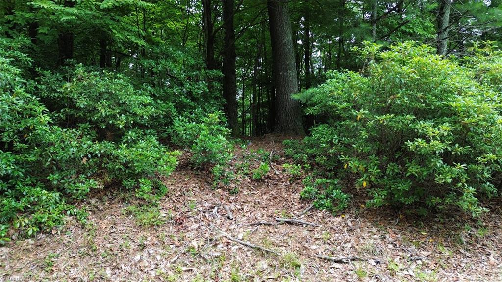 Tbd Eagle Nest Drive Deep Gap, NC 28618 - Photo 21 of 27