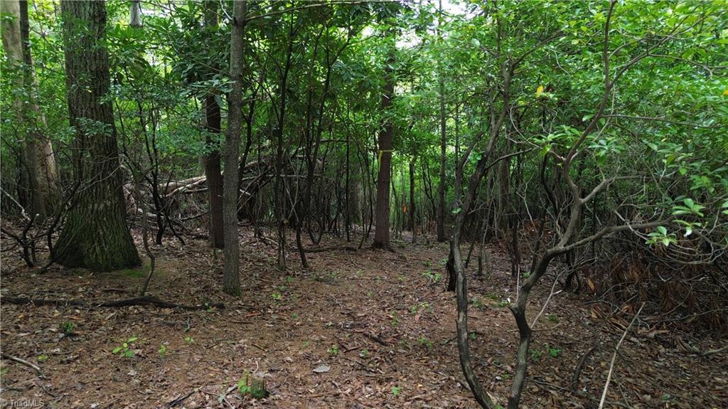 Tbd Eagle Nest Drive Deep Gap, NC 28618 - Photo 22 of 27