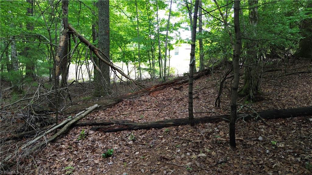 Tbd Eagle Nest Drive Deep Gap, NC 28618 - Photo 24 of 27