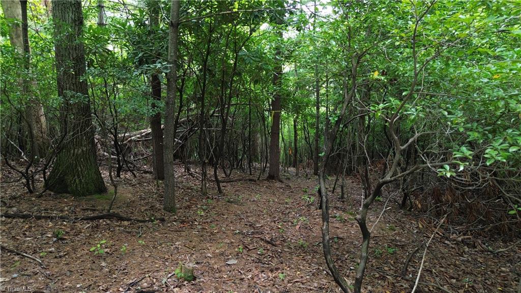 Tbd Eagle Nest Drive Deep Gap, NC 28618 - Photo 25 of 27