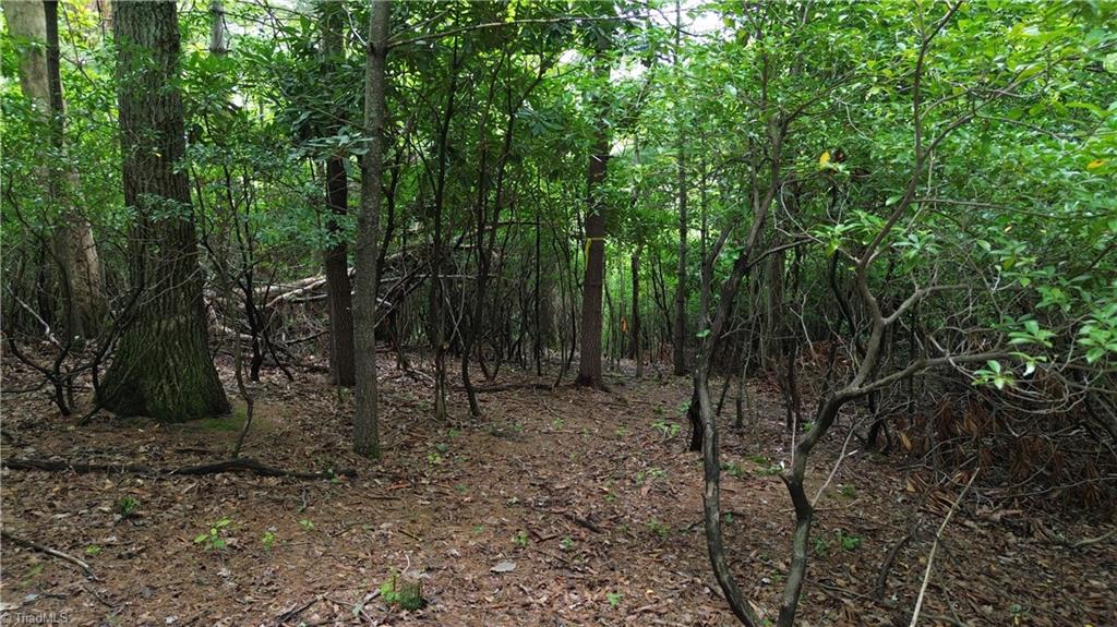 Tbd Eagle Nest Drive Deep Gap, NC 28618 - Photo 26 of 27