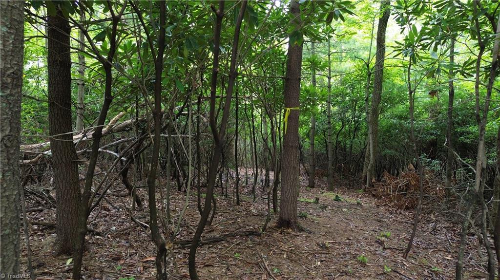 Tbd Eagle Nest Drive Deep Gap, NC 28618 - Photo 4 of 27