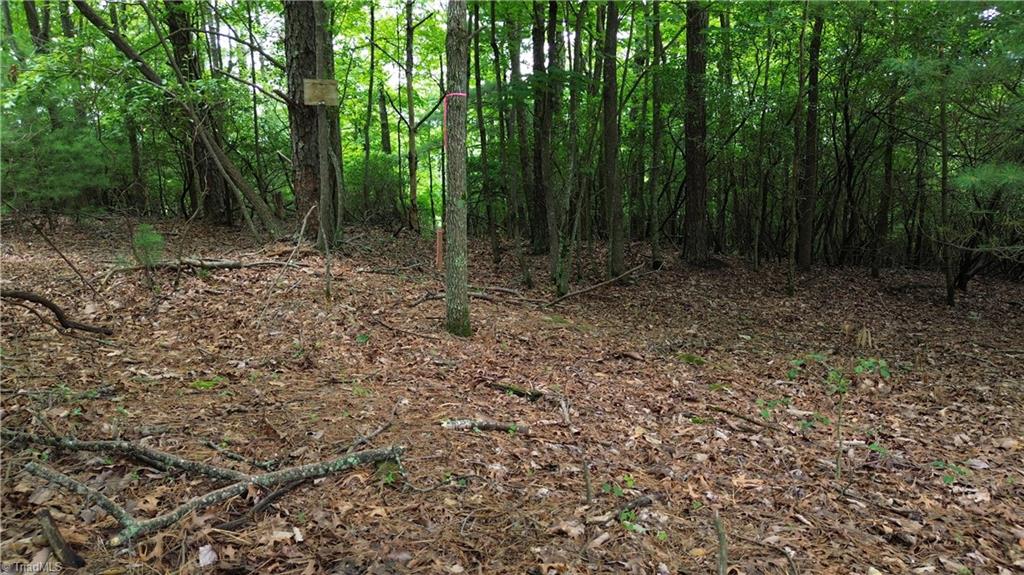 Tbd Eagle Nest Drive Deep Gap, NC 28618 - Photo 8 of 27