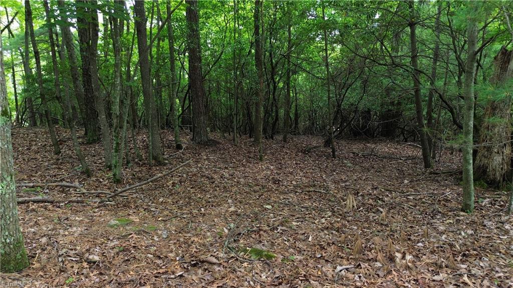 Tbd Eagle Nest Drive Deep Gap, NC 28618 - Photo 10 of 27