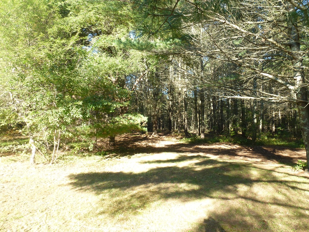 79 Papermill Road, Unit A Wareham, MA 02576 - Photo 26 of 28 a view of empty space with trees
