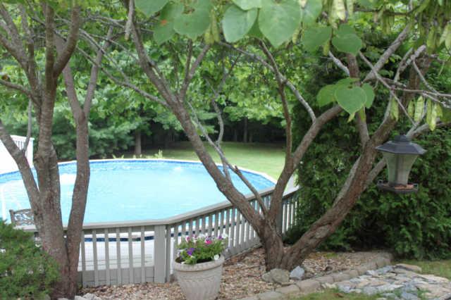 807 Hickory Ridge Trail Columbia, TN 38401 - Photo 12 of 17 Can't you see yourself relaxing in this pool??