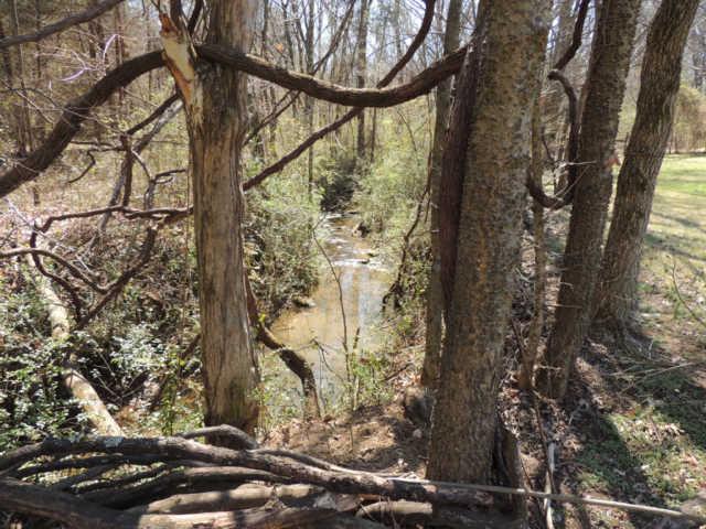 807 Hickory Ridge Trail Columbia, TN 38401 - Photo 13 of 17 Wonderful creek running through property.