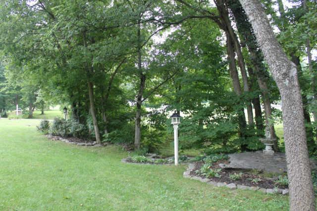 807 Hickory Ridge Trail Columbia, TN 38401 - Photo 14 of 17 Another lovely view of the front yard.