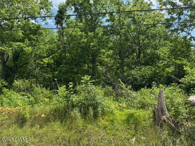 387 Neitz Valley Road Selinsgrove, PA 17870 - Photo 2 of 2
