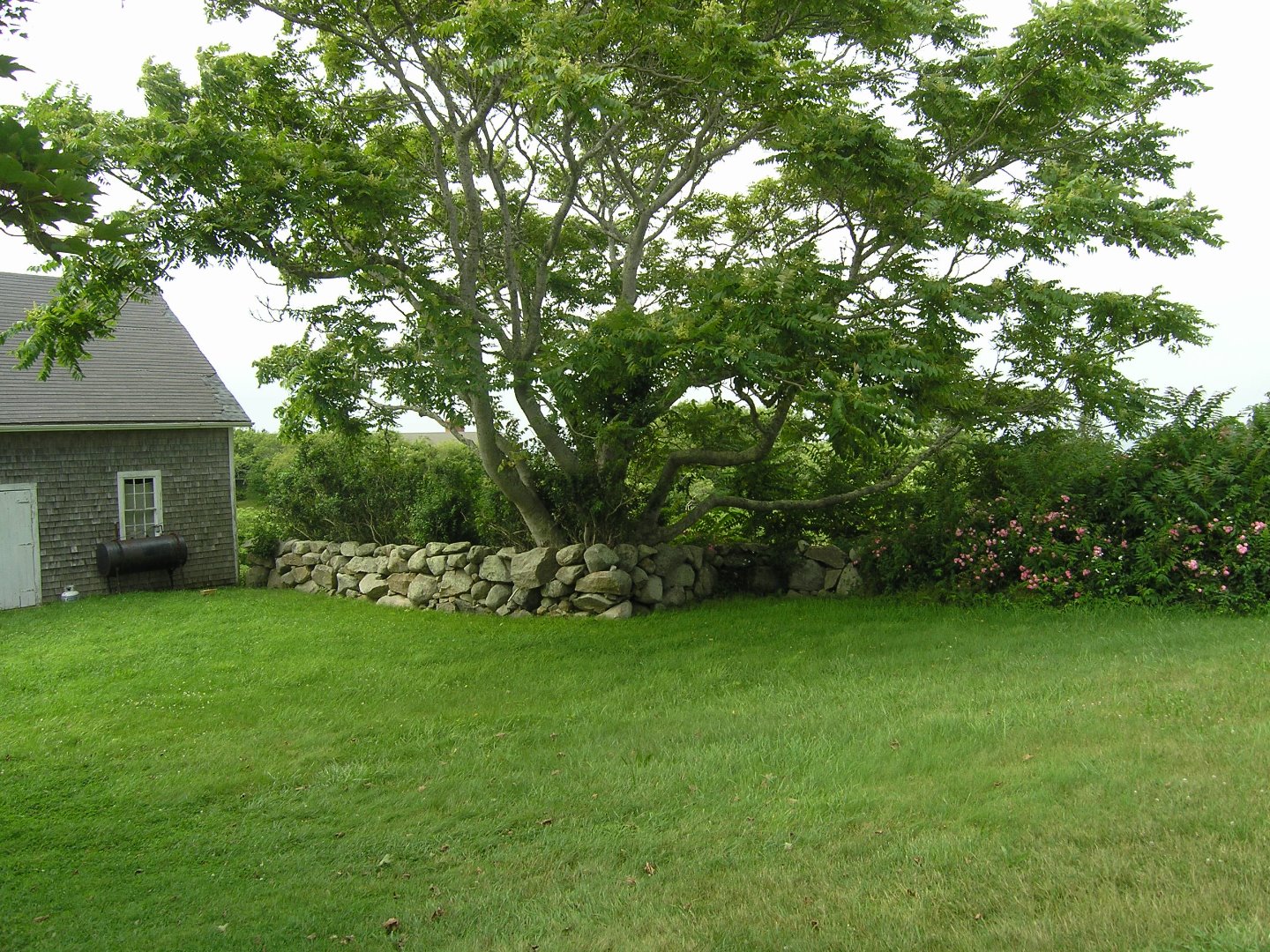 225 State Road Chilmark, MA 02535 - Photo 21 of 27 and is set amidst old stone walls.