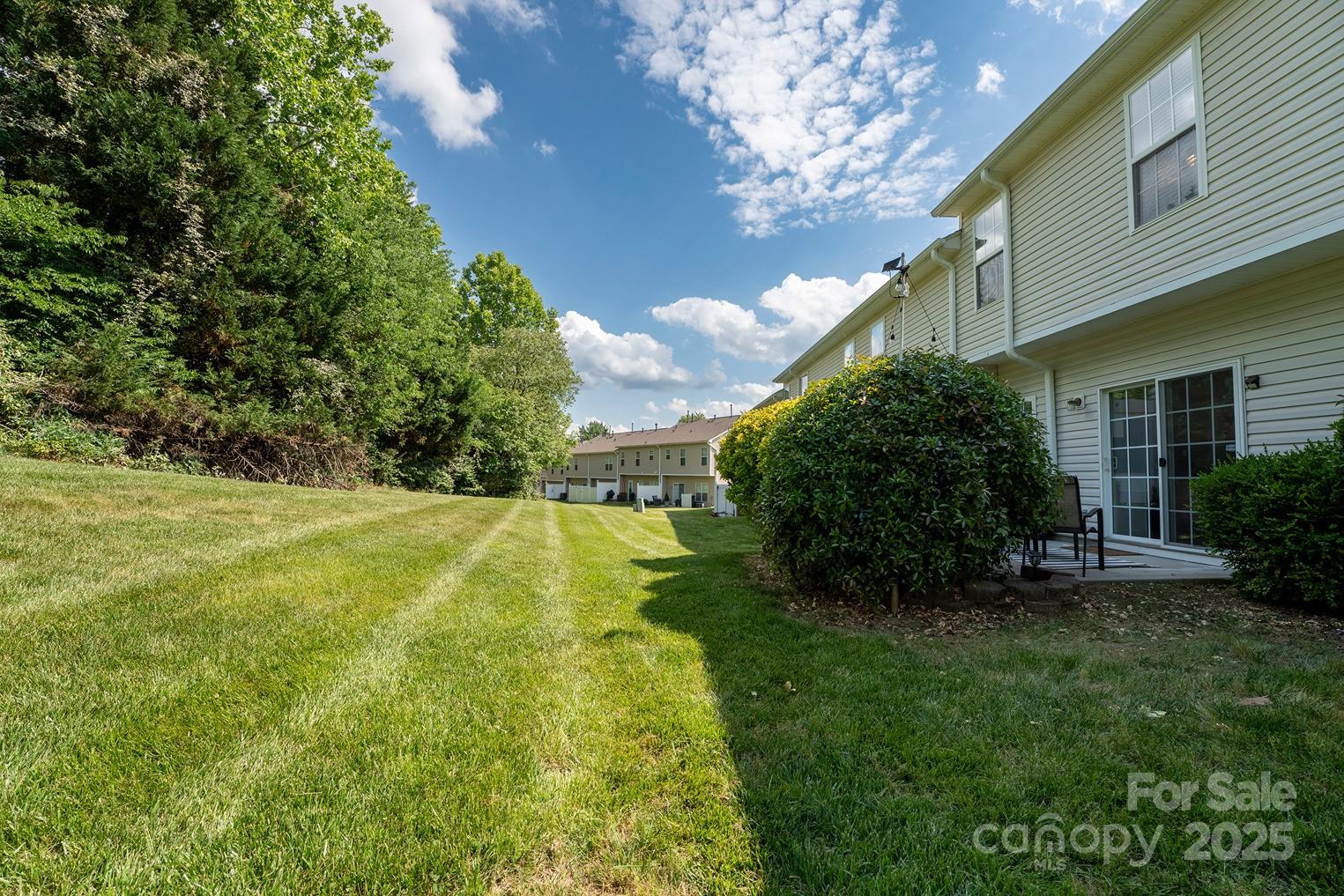 3412 Summerfield Ridge Lane Matthews, NC 28105 - Photo 29 of 30 a view of backyard with plants and large trees