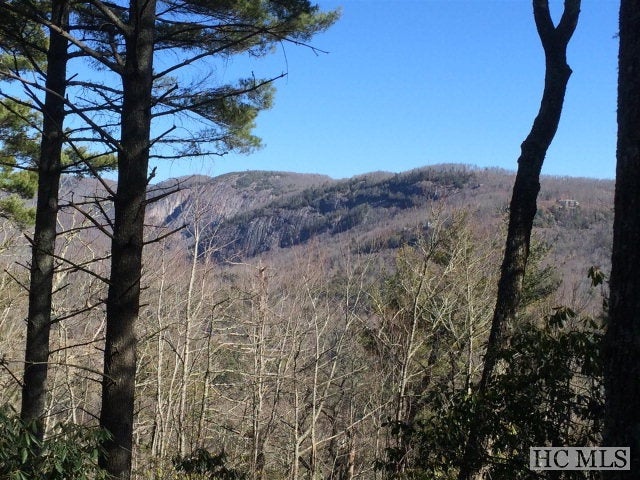 Lot 53 Ledgeview Road Cashiers, NC 28717 - Photo 1 of 1 Gallery Image 1