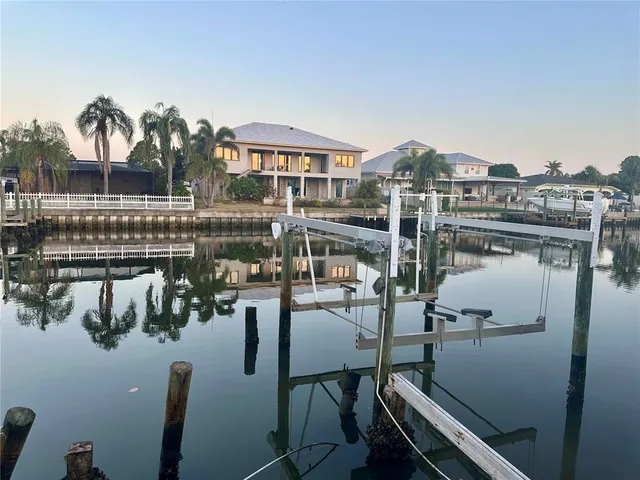a view of a lake with boats and palm trees