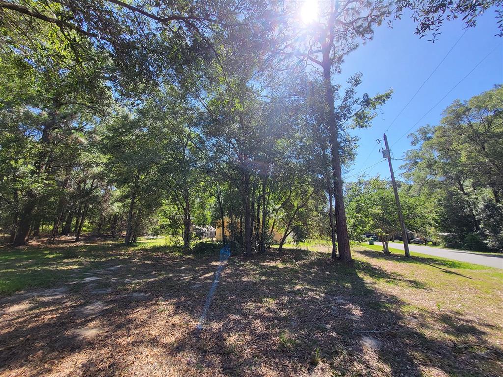 6491 East Lowden Street Inverness, FL 34452 - Photo 2 of 4 a view of outdoor space with trees
