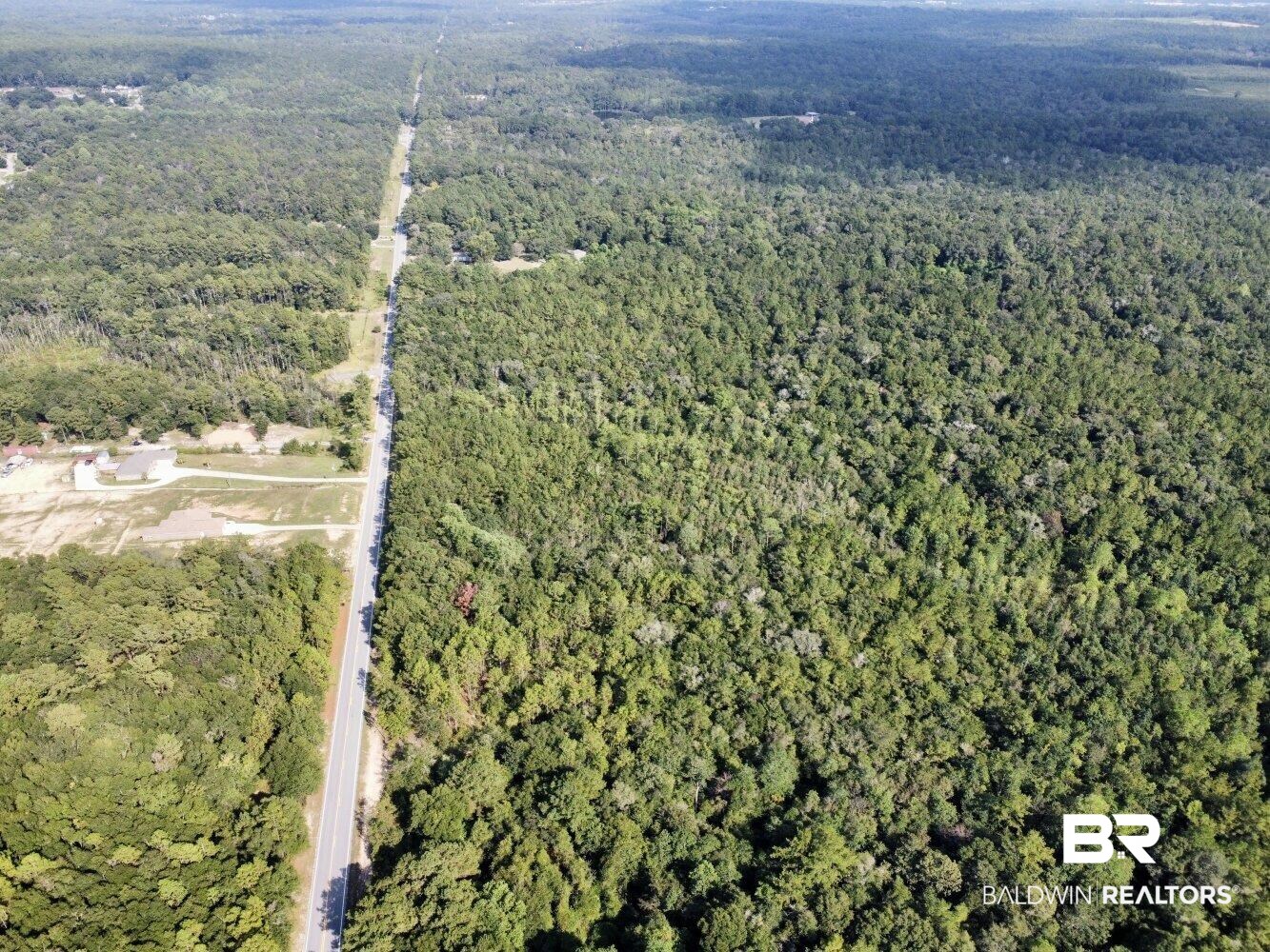 0 Bear Fork Road Mobile, AL 36618 - Photo 9 of 50