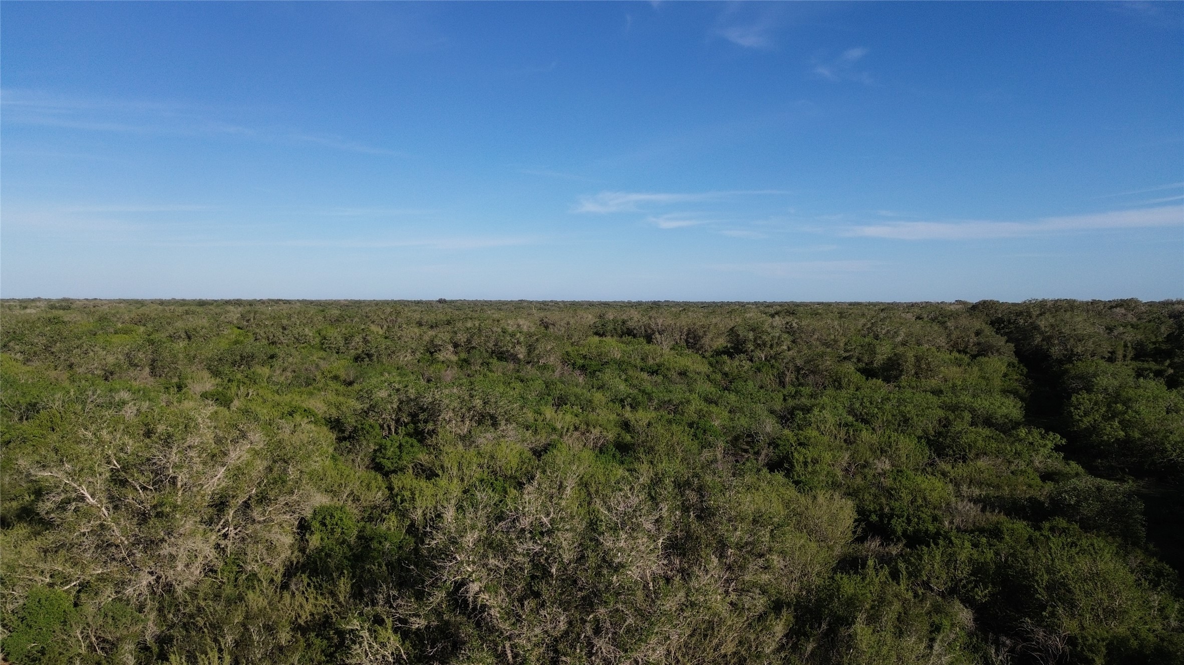 6104 Lucas Road Goliad, TX 77963 - Photo 10 of 32 a view of a field with an ocean
