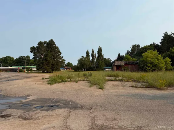 $30,000 | 130 Campbell Avenue, Newberry, MI 49868