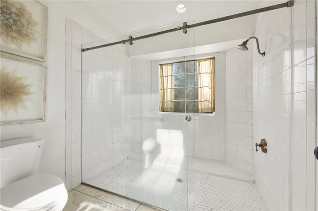 a bathroom with a shower and toilet