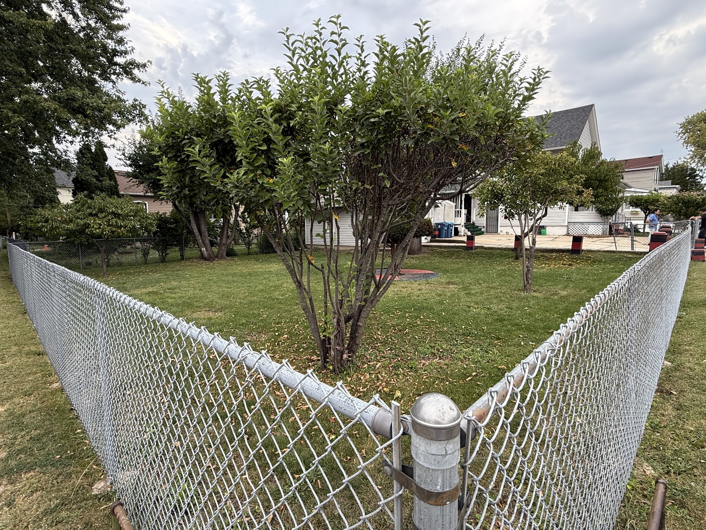 172 North East Avenue Aurora, IL 60505 - Photo 14 of 15 a view of a wooden deck and a patio