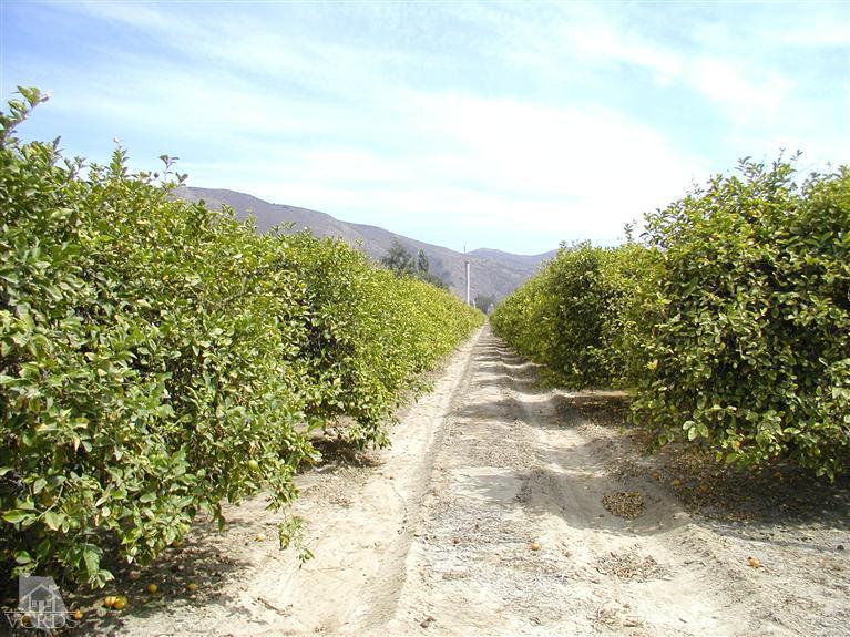 Orr Road Santa Paula, CA 93060 - Photo 1 of 14 Gallery Image 1
