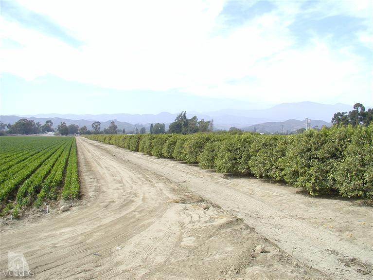 Orr Road Santa Paula, CA 93060 - Photo 11 of 14 Gallery Image 11