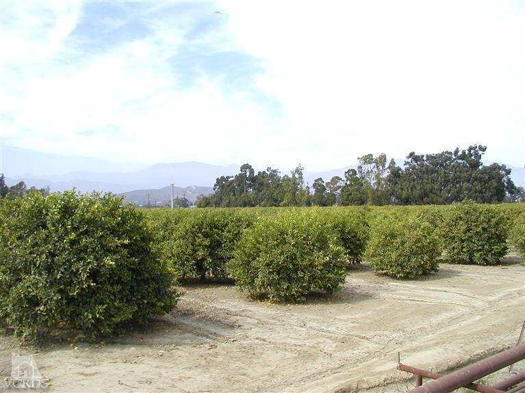 Orr Road Santa Paula, CA 93060 - Photo 12 of 14 Gallery Image 12