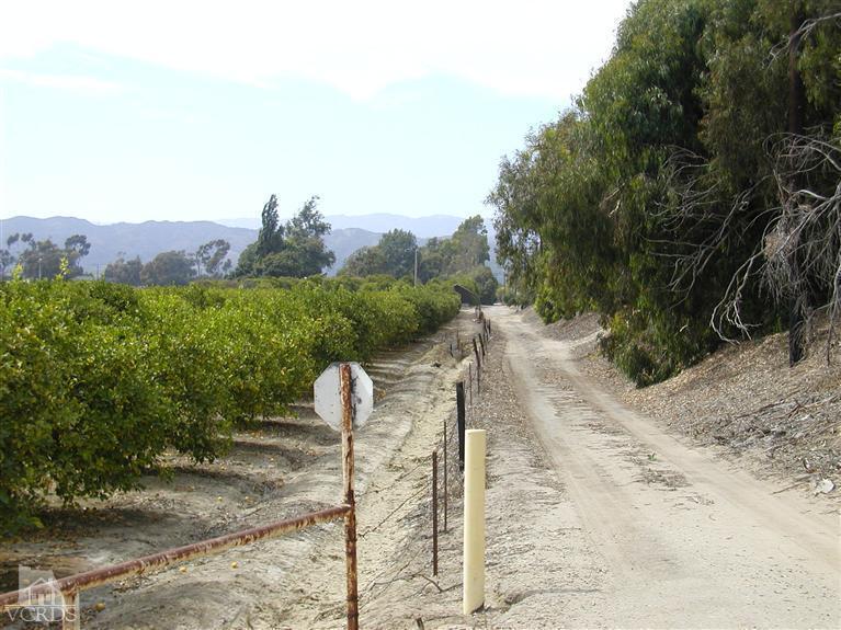 Orr Road Santa Paula, CA 93060 - Photo 13 of 14 Gallery Image 13