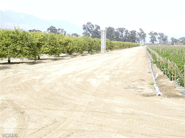 Orr Road Santa Paula, CA 93060 - Photo 14 of 14 Gallery Image 14