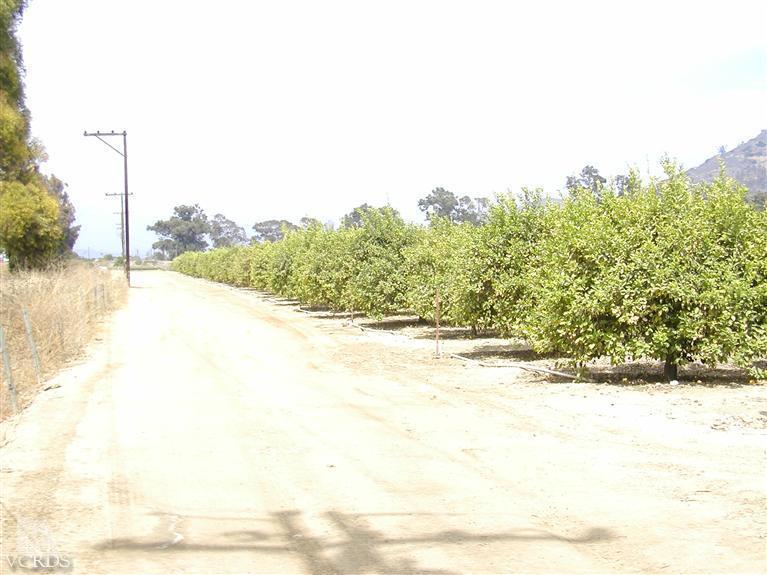 Orr Road Santa Paula, CA 93060 - Photo 4 of 14 Gallery Image 4