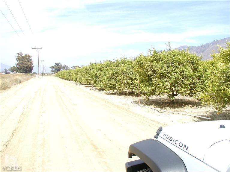 Orr Road Santa Paula, CA 93060 - Photo 7 of 14 Gallery Image 7