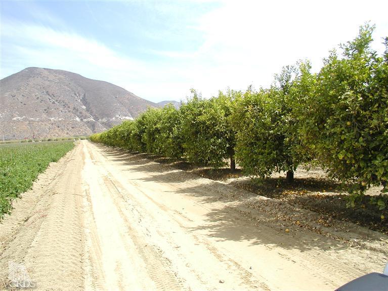 Orr Road Santa Paula, CA 93060 - Photo 8 of 14 Gallery Image 8