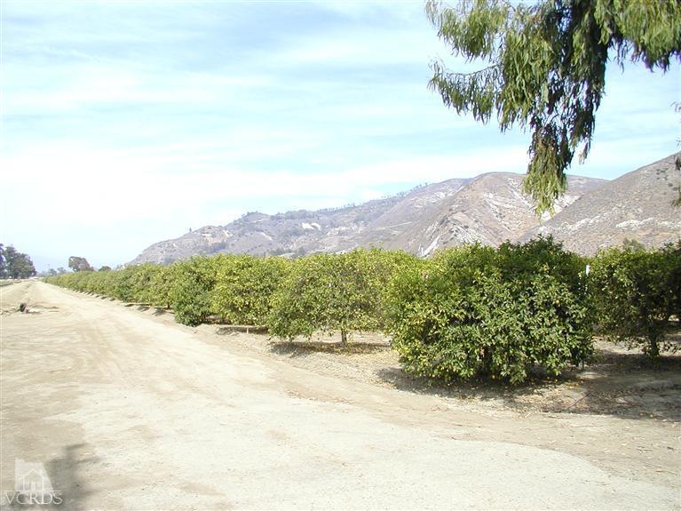 Orr Road Santa Paula, CA 93060 - Photo 9 of 14 Gallery Image 9
