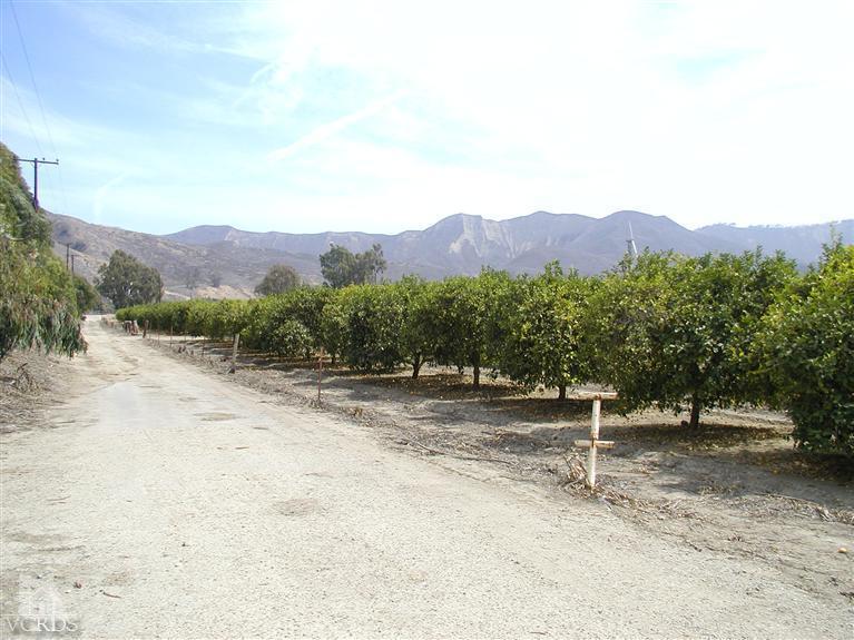 Orr Road Santa Paula, CA 93060 - Photo 10 of 14 Gallery Image 10