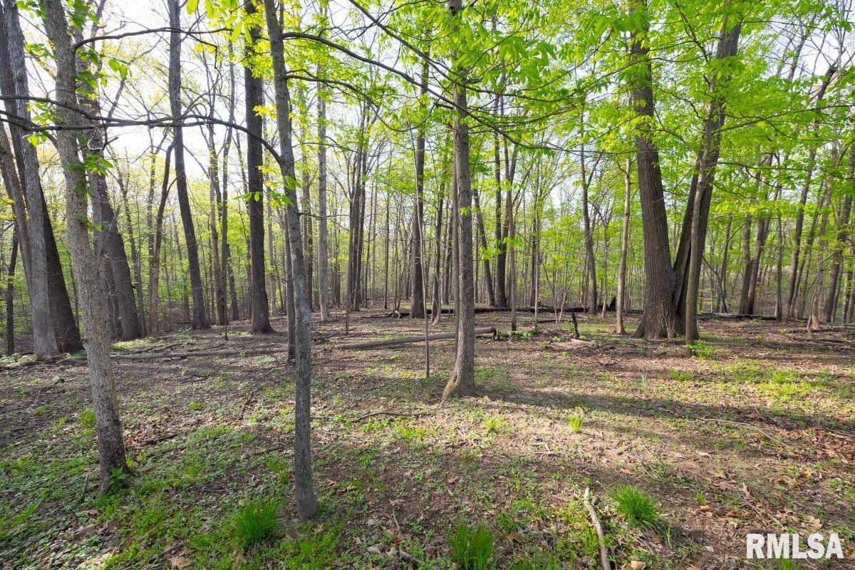 0 Goodman Pond Road Dongola, IL 62926 - Photo 11 of 72