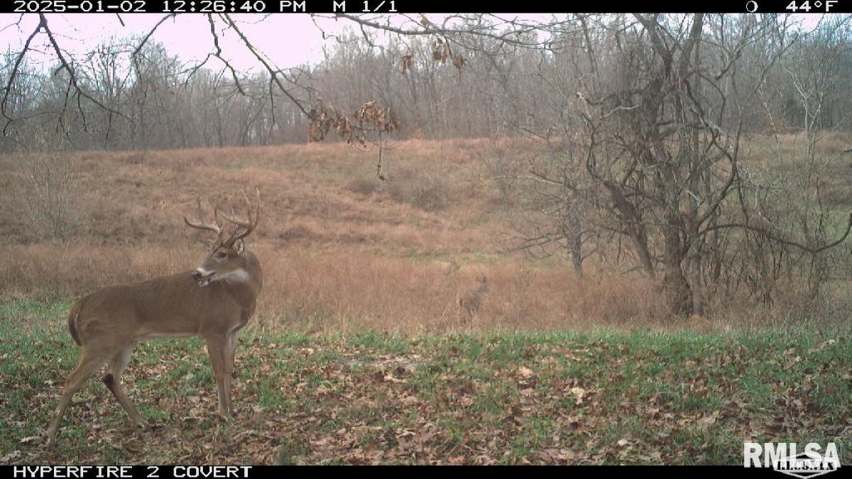 0 Goodman Pond Road Dongola, IL 62926 - Photo 13 of 72