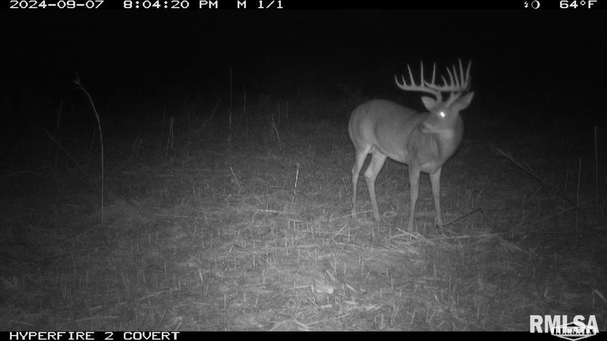 0 Goodman Pond Road Dongola, IL 62926 - Photo 15 of 72