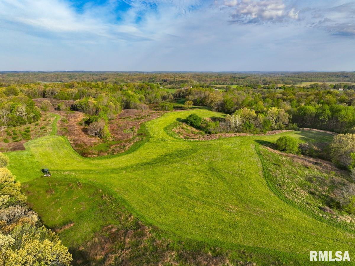 0 Goodman Pond Road Dongola, IL 62926 - Photo 17 of 72