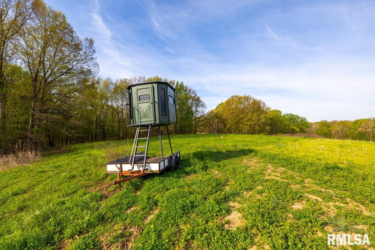 0 Goodman Pond Road Dongola, IL 62926 - Photo 18 of 72