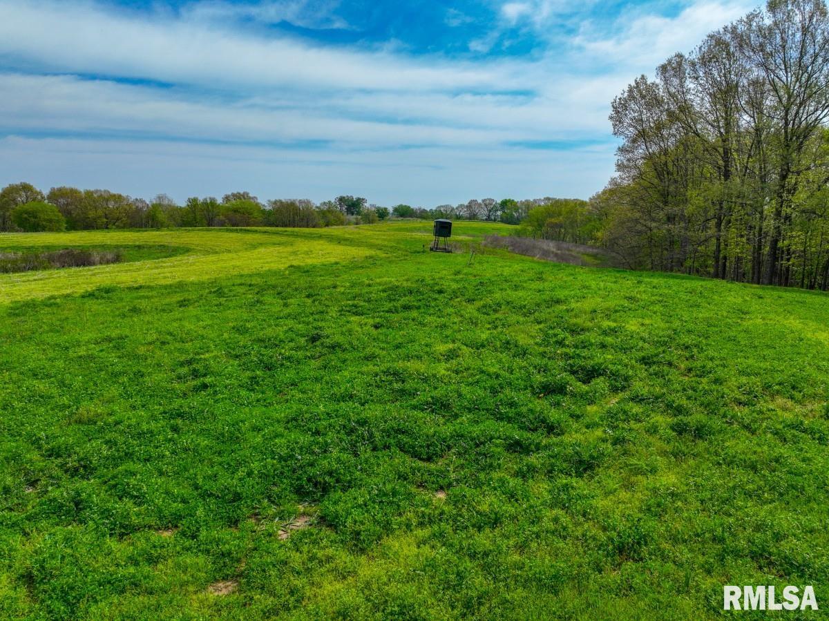 0 Goodman Pond Road Dongola, IL 62926 - Photo 20 of 72