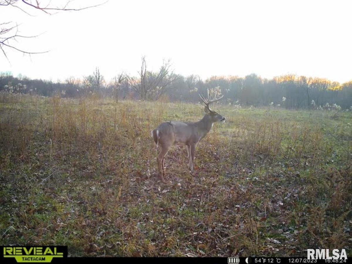 0 Goodman Pond Road Dongola, IL 62926 - Photo 2 of 72