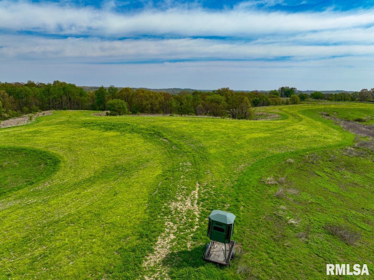 0 Goodman Pond Road Dongola, IL 62926 - Photo 21 of 72